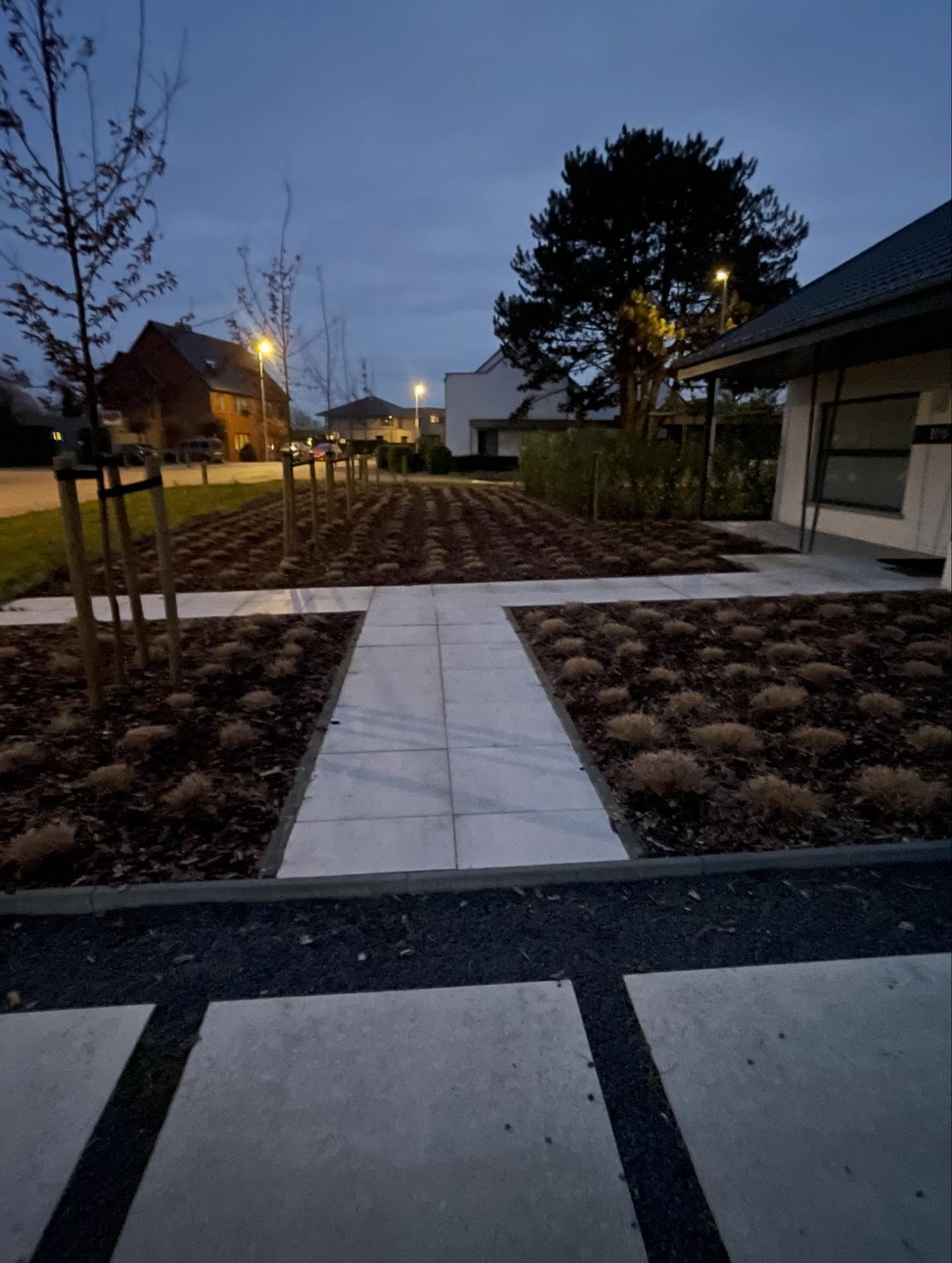 Voortuin bij schemering met een pad van grote tegels, jonge bomen en borders met siergrassen