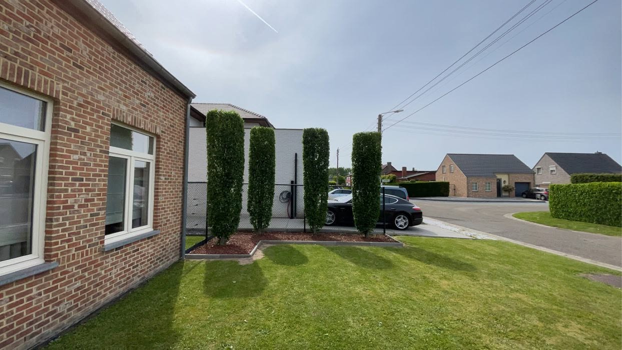 Gazon naast een bakstenen woning met vier strak gesnoeide zuilvormige struiken